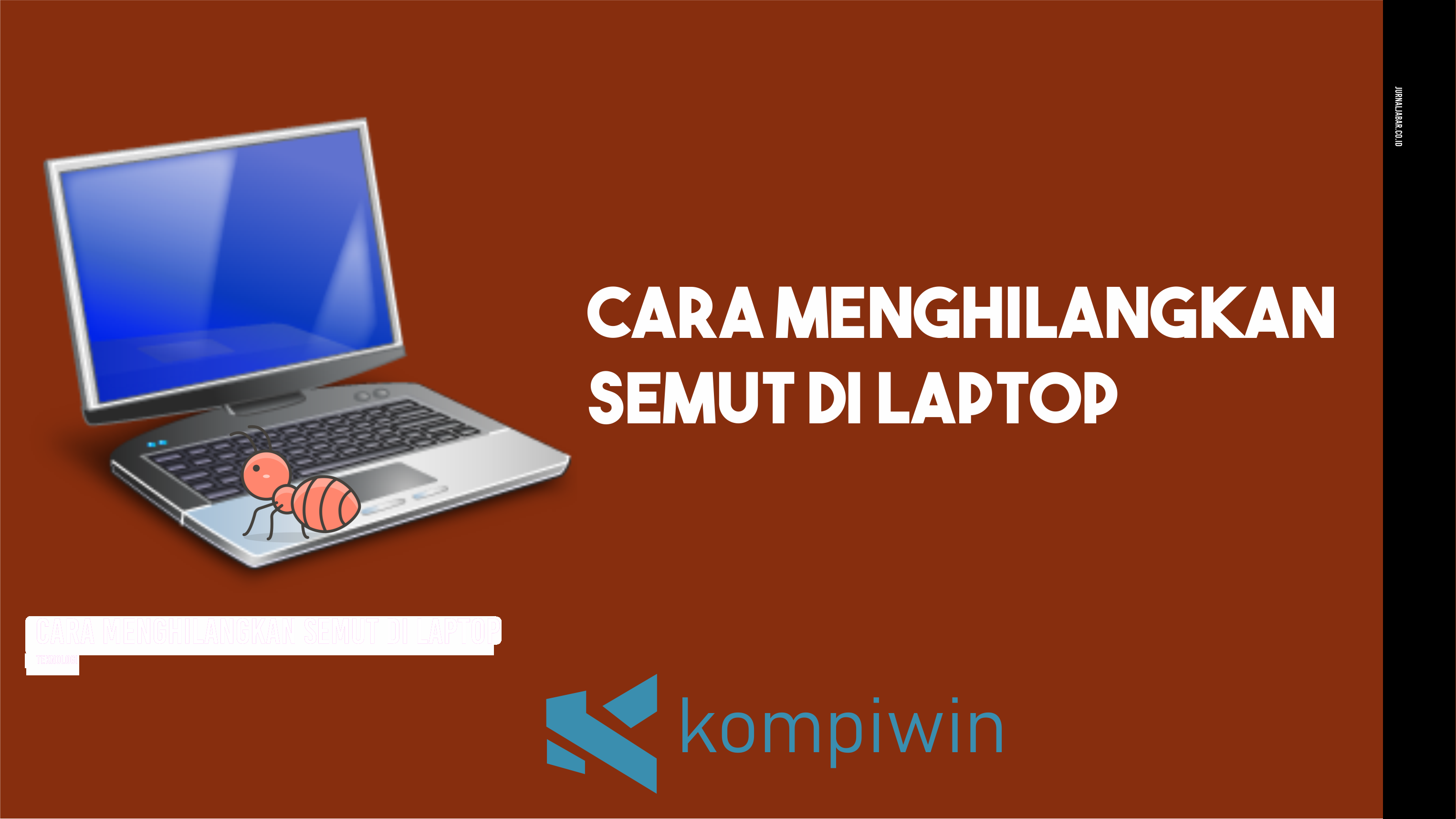 Cara Menghilangkan Semut di Laptop