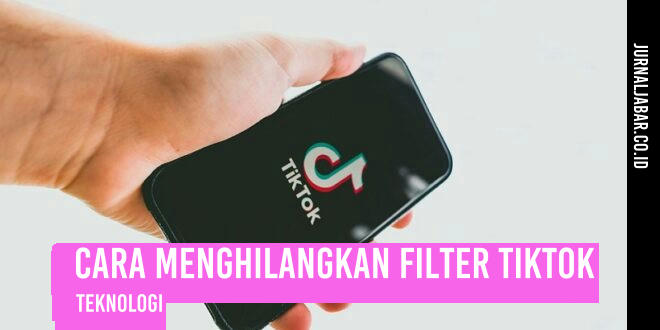Cara Menghilangkan Filter TikTok