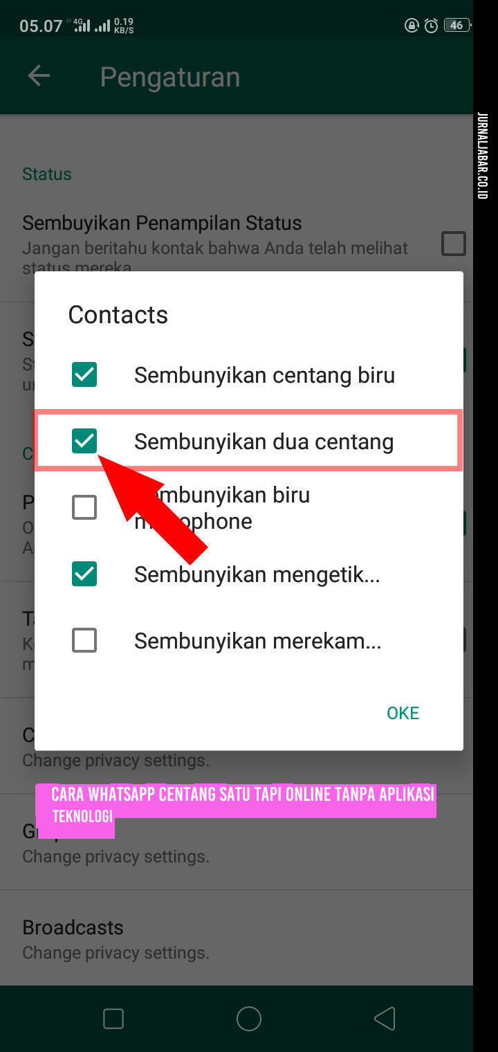 Cara WhatsApp Centang Satu tapi Online Tanpa Aplikasi