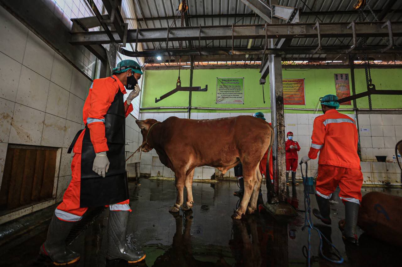 Satgas Pemeriksa Hewan Kurban Pemkot Bandung Mulai Terjun ke Lapangan