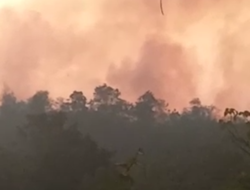 Taman Nasional Gunung Ciremai Terbakar