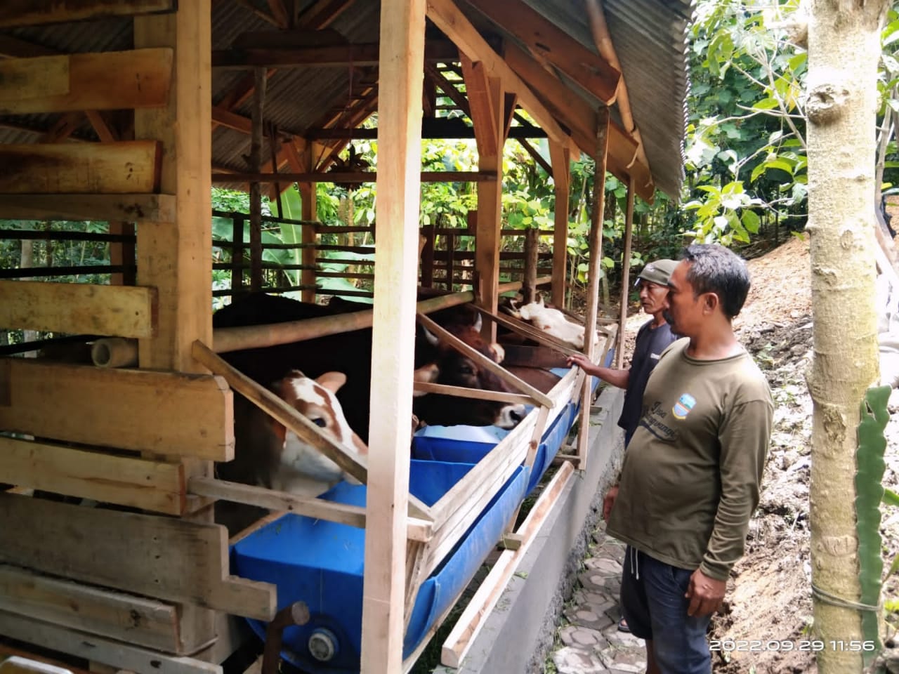 Mengintip Program Ketahanan Pangan Desa Sindangwangi Padaherang