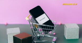 Jangan Asal Pilih, Ini Aplikasi Belanja Online Terbaik